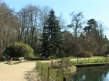 Bergheim / Erft : Schloss Paffendorf, Schlosspark